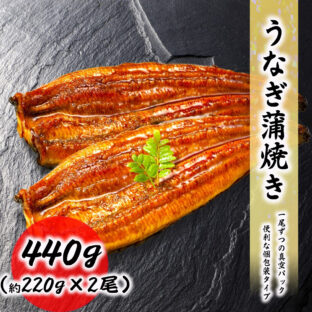 うなぎ蒲焼 無頭うなぎ 2尾セット（約440g） 約220g/1尾 料理店でも使